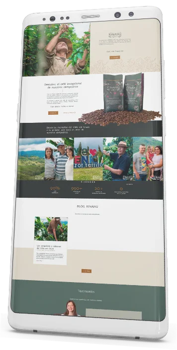diseño web responsive elementor kinanu