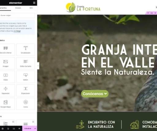 diseñador web elementor colombia